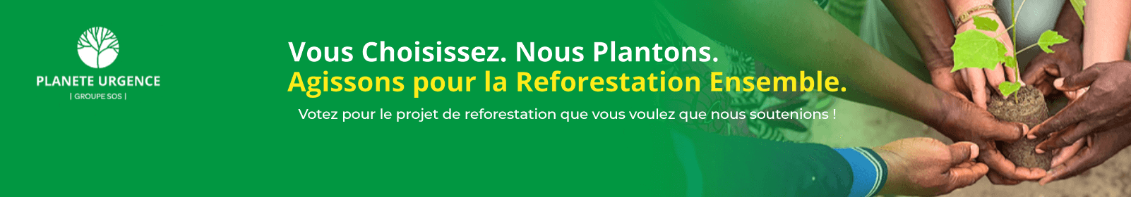 Reforrestation Programme