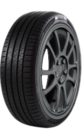 Reifen PIRELLI PZERO ALL SEASON MGT