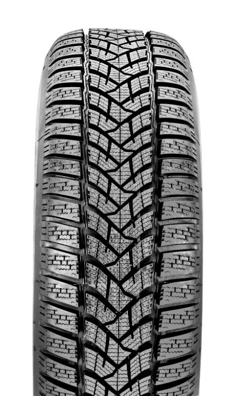 DUNLOP WINTER SPORT 5